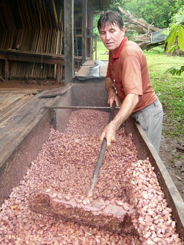 cooperativa-produtores-de-cacau-18